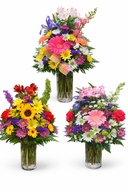 Any Occasion Blooms –  C - K Florist, Kenova WV